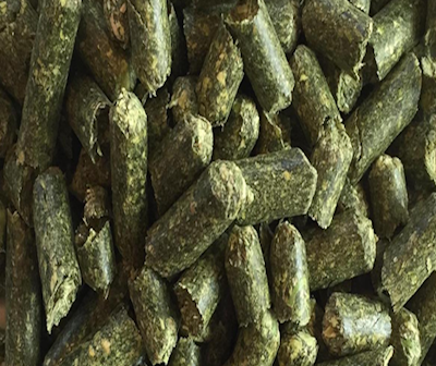horse bedding