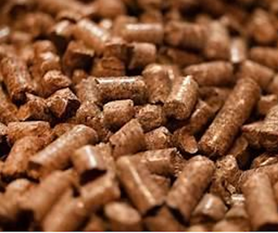 horse bedding