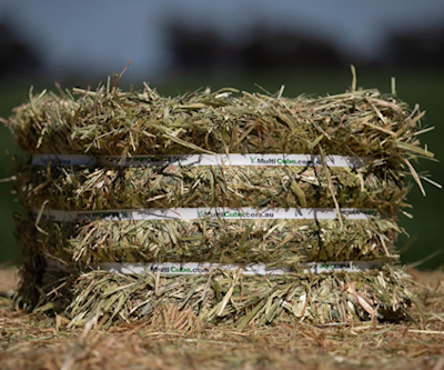 horse bedding