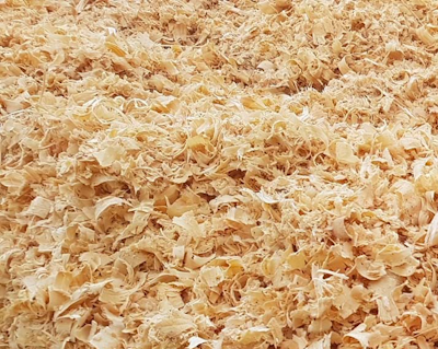 horse bedding
